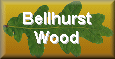 Bellhurst Wood