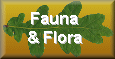 Animals and Plants in Knelle Wood
