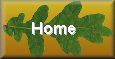 Knelle Wood Homepage