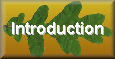 Introduction to Knelle Wood