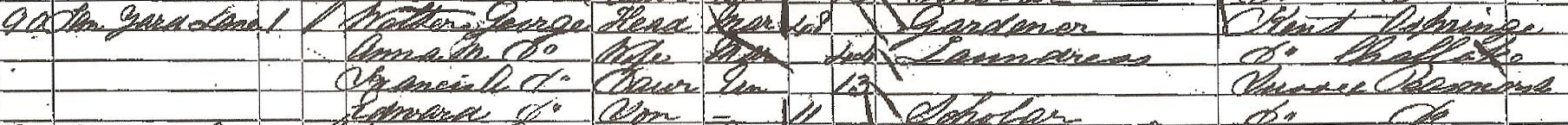 1861 census