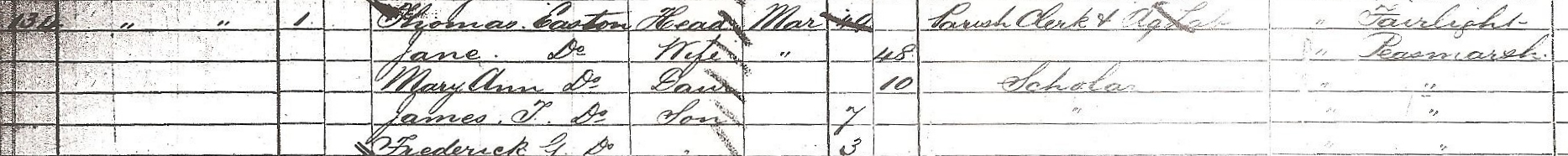 1881 census