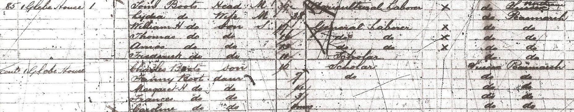 1891 census