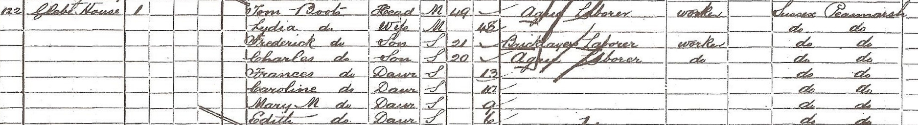 1901 census