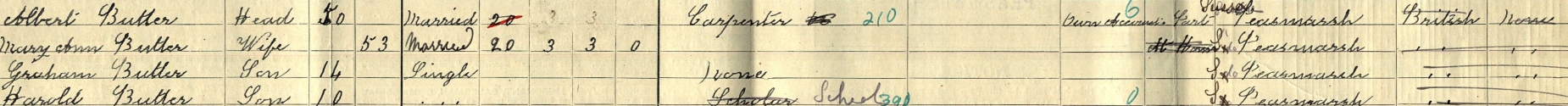 1911 census